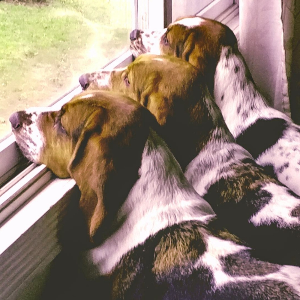 Meet your Posher, Brenda